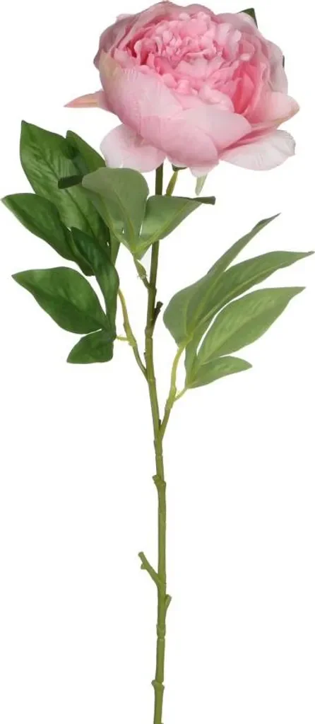 Künstliche Pfingstrose – 76 cm, Rosa, naturgetreue Blüte